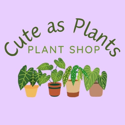 Cute as Plants